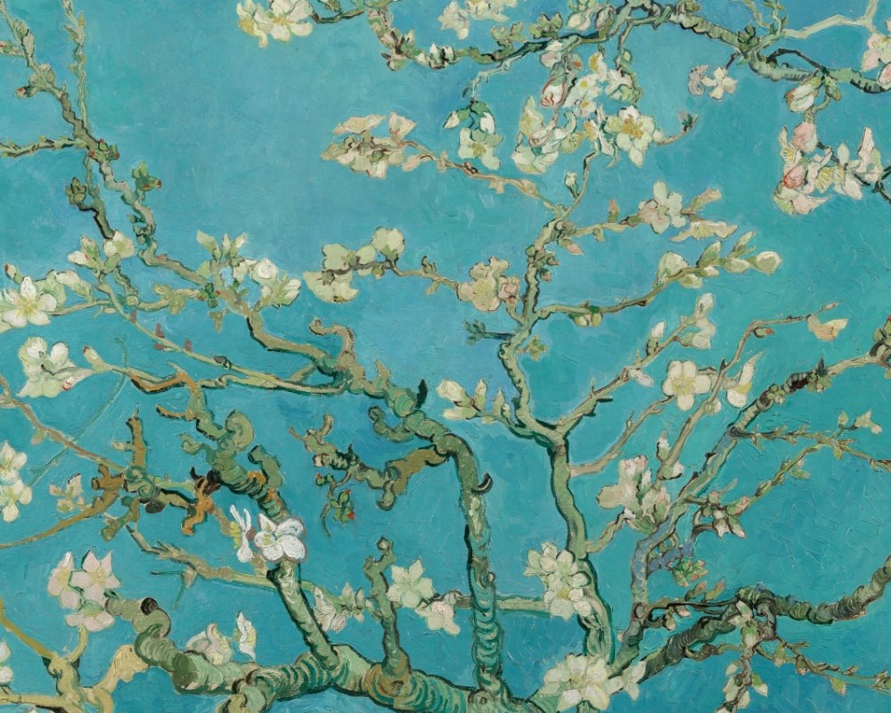 Branches with Almond Blossom product image